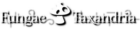 Logo Fungae Taxandria